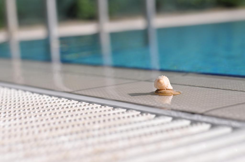 Aqua Wellness Apartments Hajdúszoboszló Kamer foto